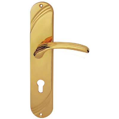 Brass Handle with Plate